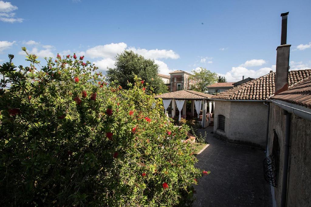 Azienda Agrituristica Seliano Paestum Szoba fotó